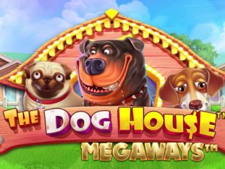 Demo The Dog House Slot Online Pragmatic Play