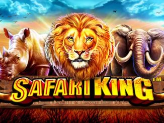 Demo Safari King Slot Online Pragmatic Play
