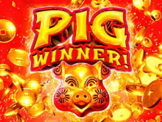 Demo PIG Winner Game Slot Online Provider Real Time Gaming